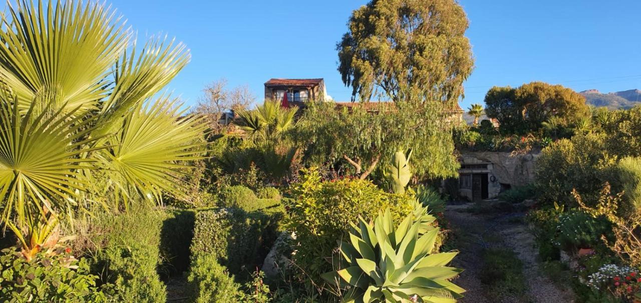 Tenerife Nature Retreat Ifonche Kültér fotó