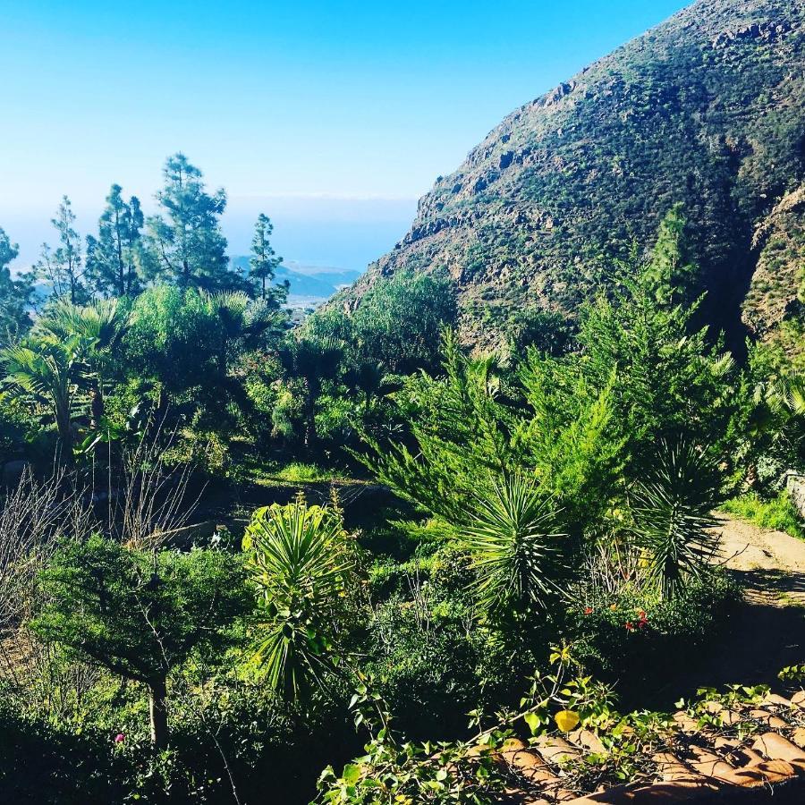 Tenerife Nature Retreat Ifonche Kültér fotó